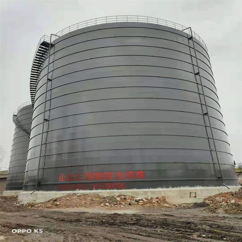 平阳3万吨大型钢板库