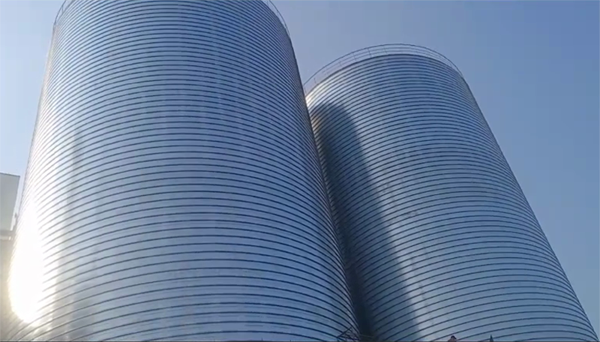 平阳2座混凝土高架卷板仓